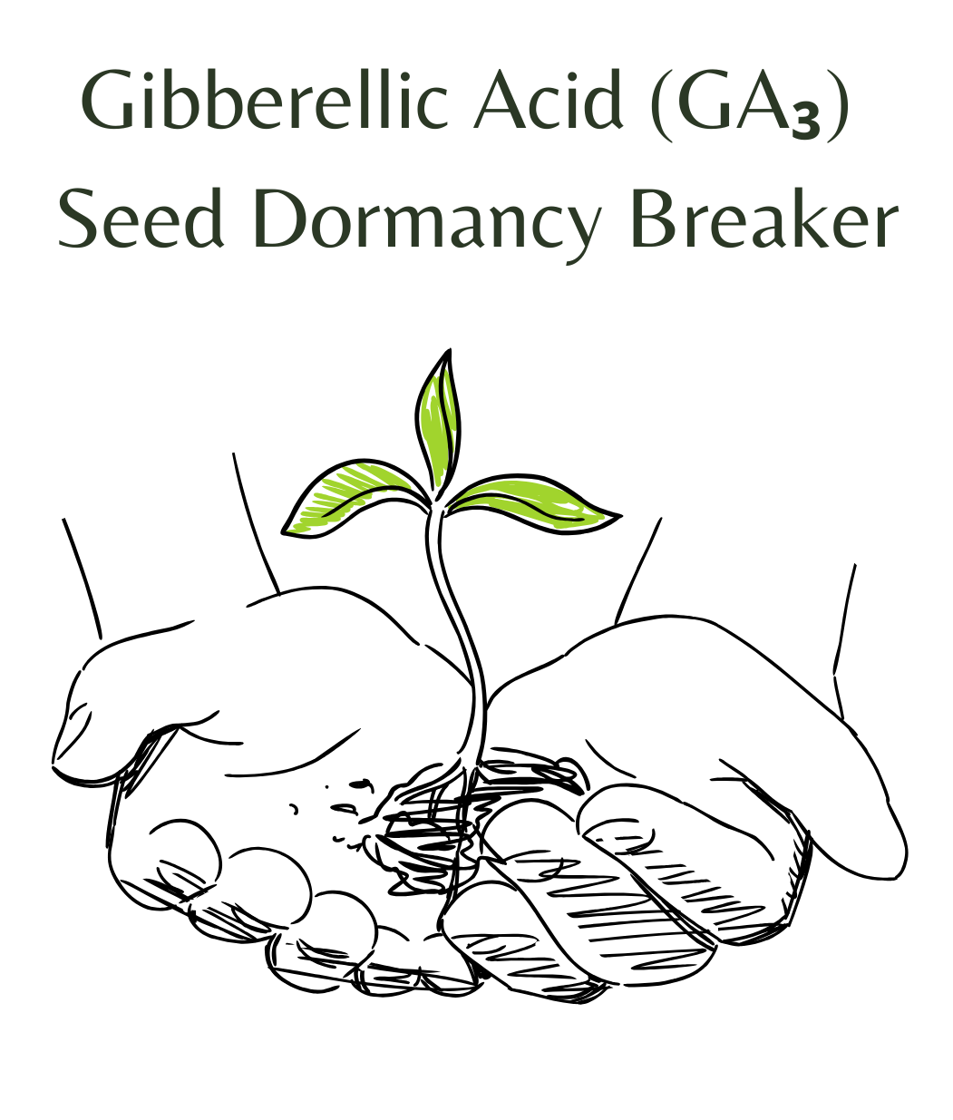 Gibberellic_Acid_GA__05_g__Seed_Dormancy_Breaker