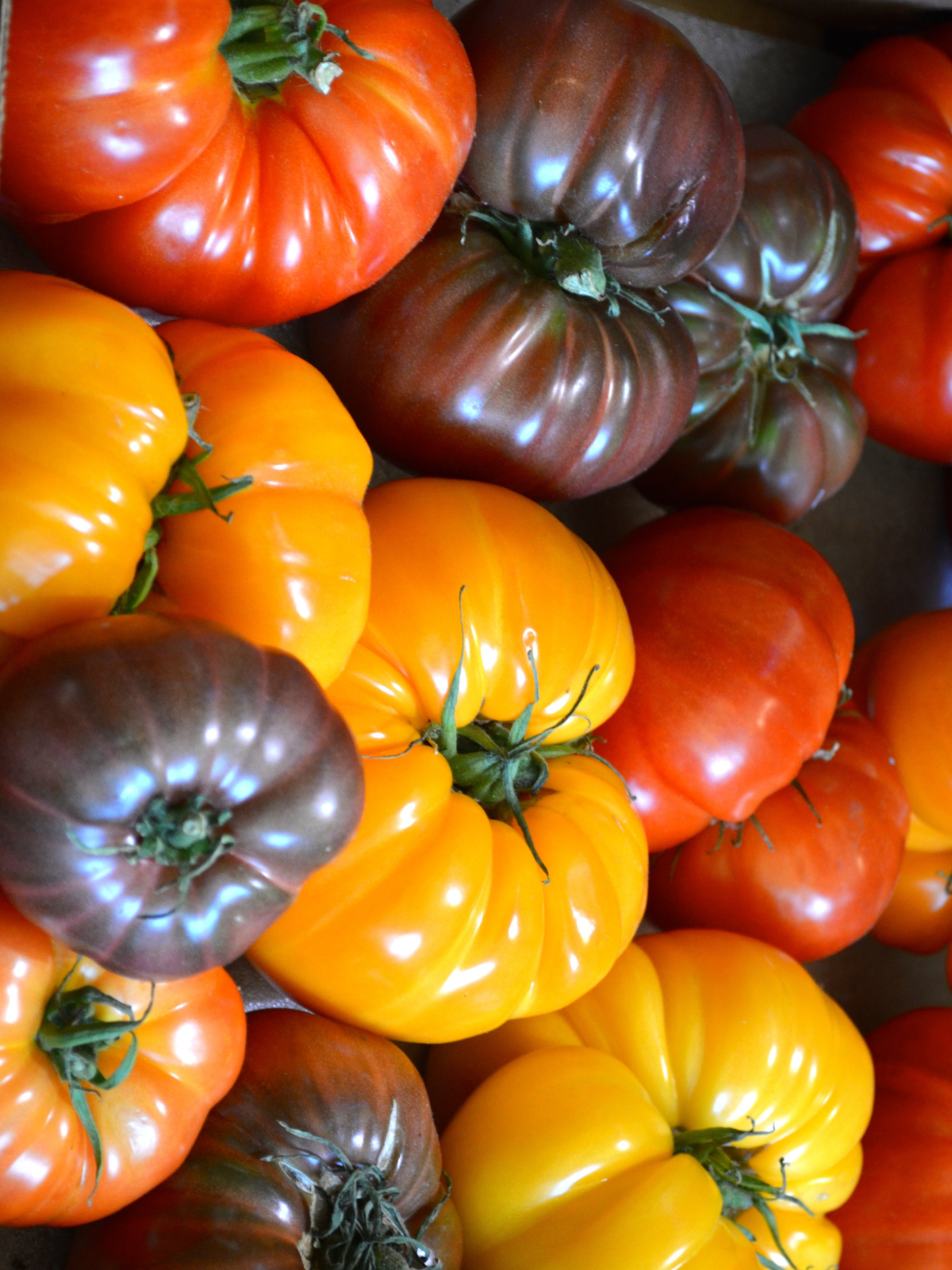 Rainbow_Heirloom_Tomato_Seed_Collection