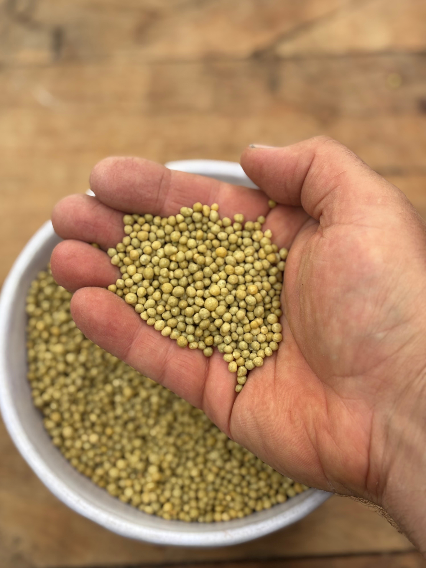 Slow-Release_Fertiliser_-_8_Months_500g