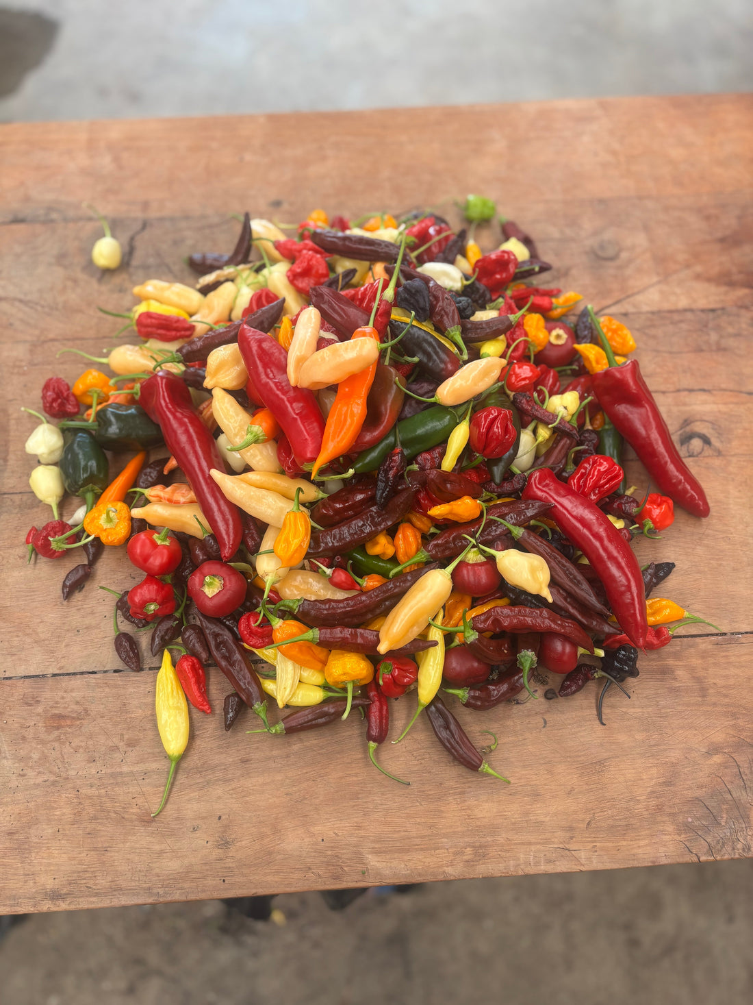 The Wonderful World of Peppers