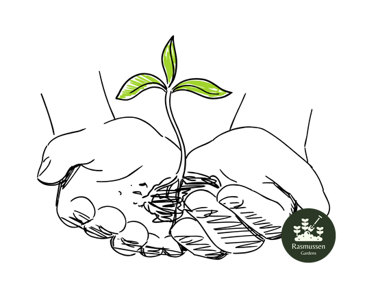 Germinating Difficult Seeds