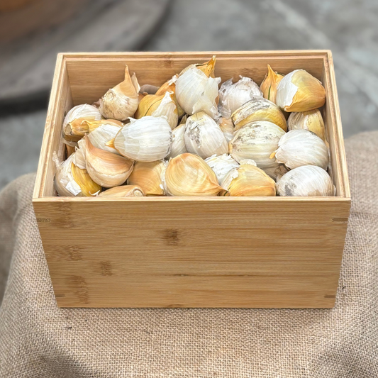 Elephant Garlic (1 bulb)