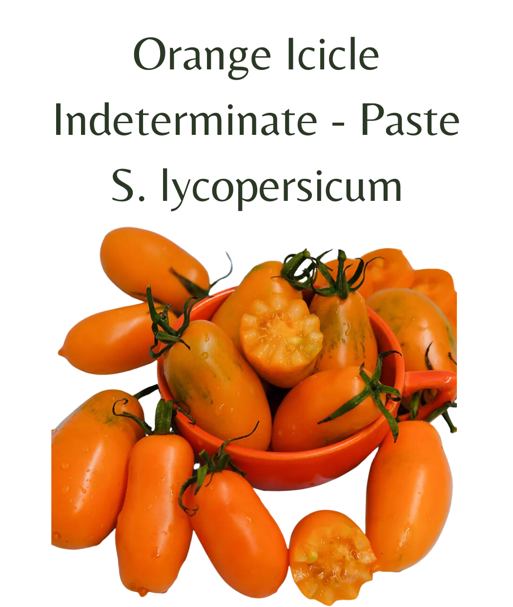 Orange Icicle Tomato (10 seeds)