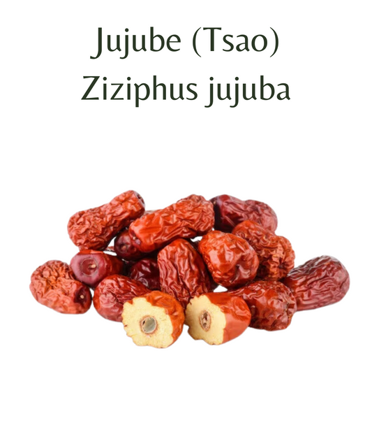 Jujube, Tsao (5 seeds)