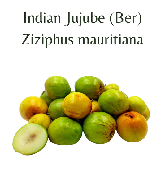Indian Jujube, Ber (3 seeds)