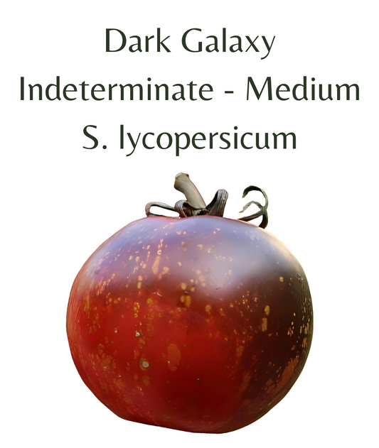 Dark Galaxy Tomato (10 seeds)