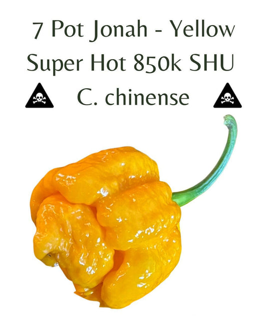 7 Pot Jonah - Yellow Chilli Seeds (10 seeds) - Rasmussen Gardens