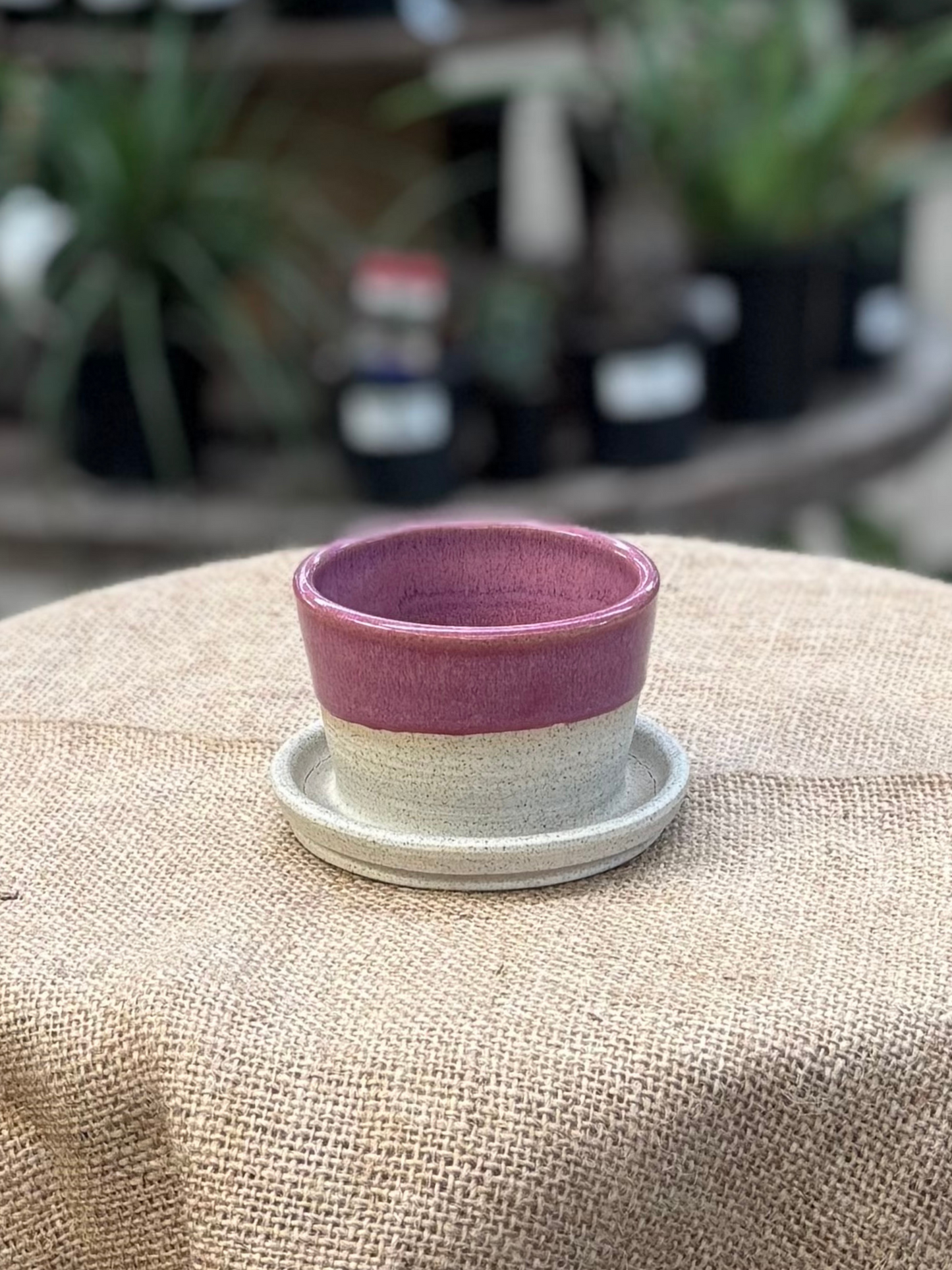 Mini Planters