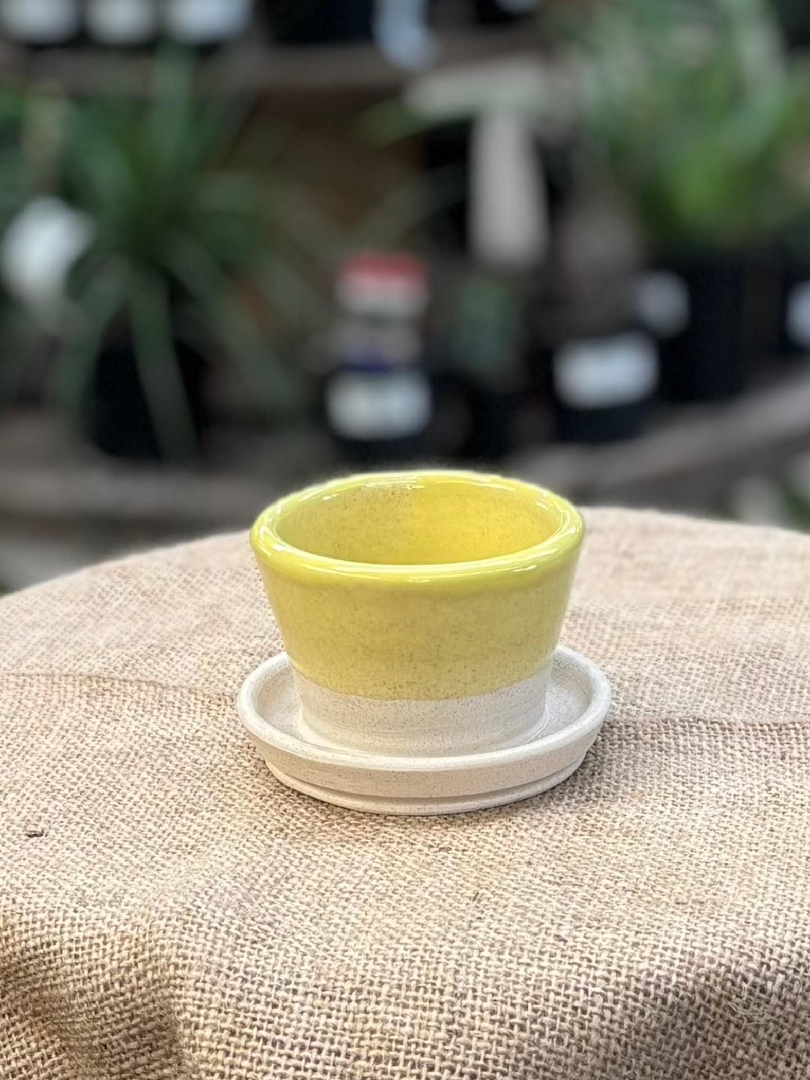 Mini Planters