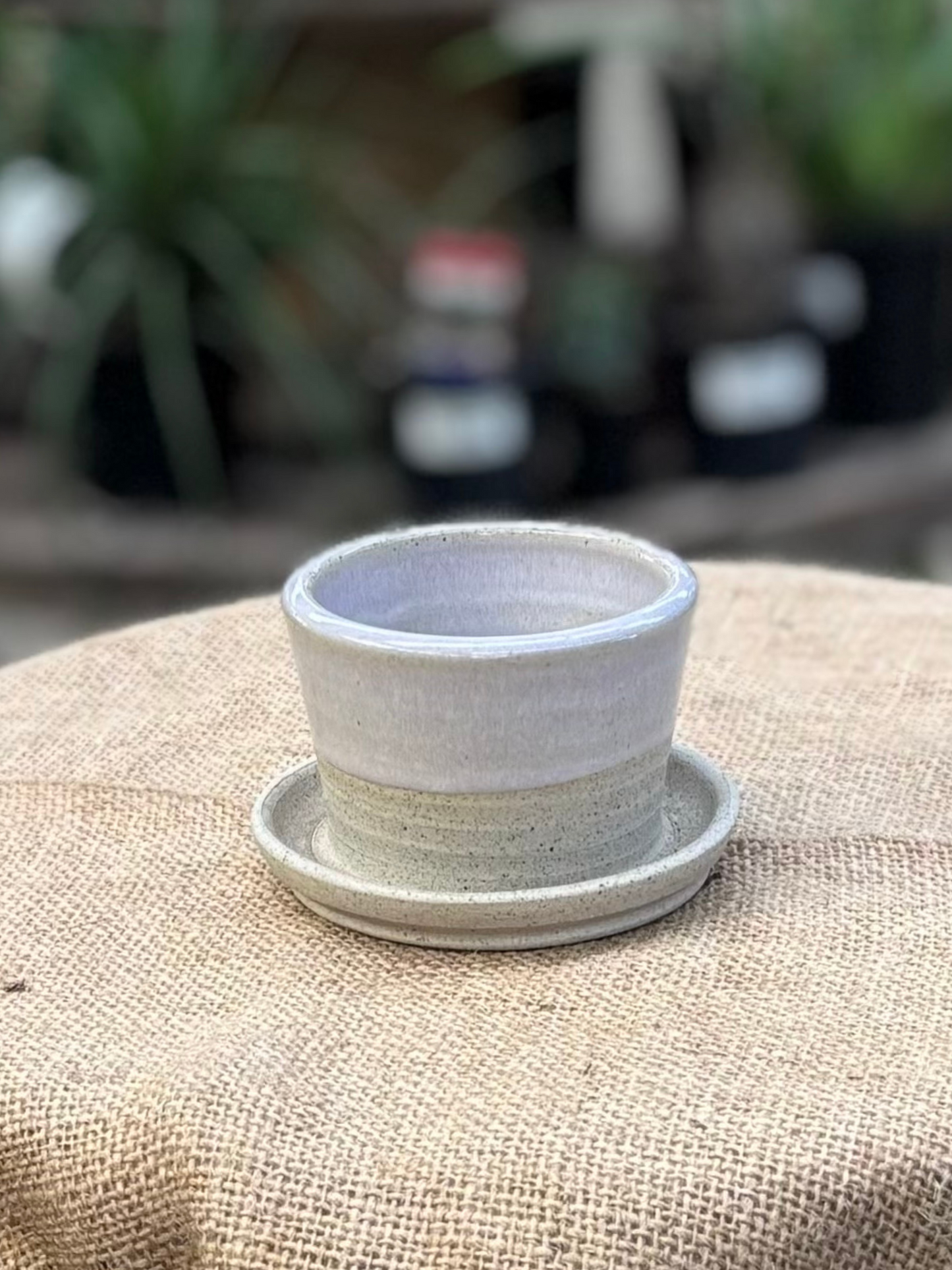 Mini Planters
