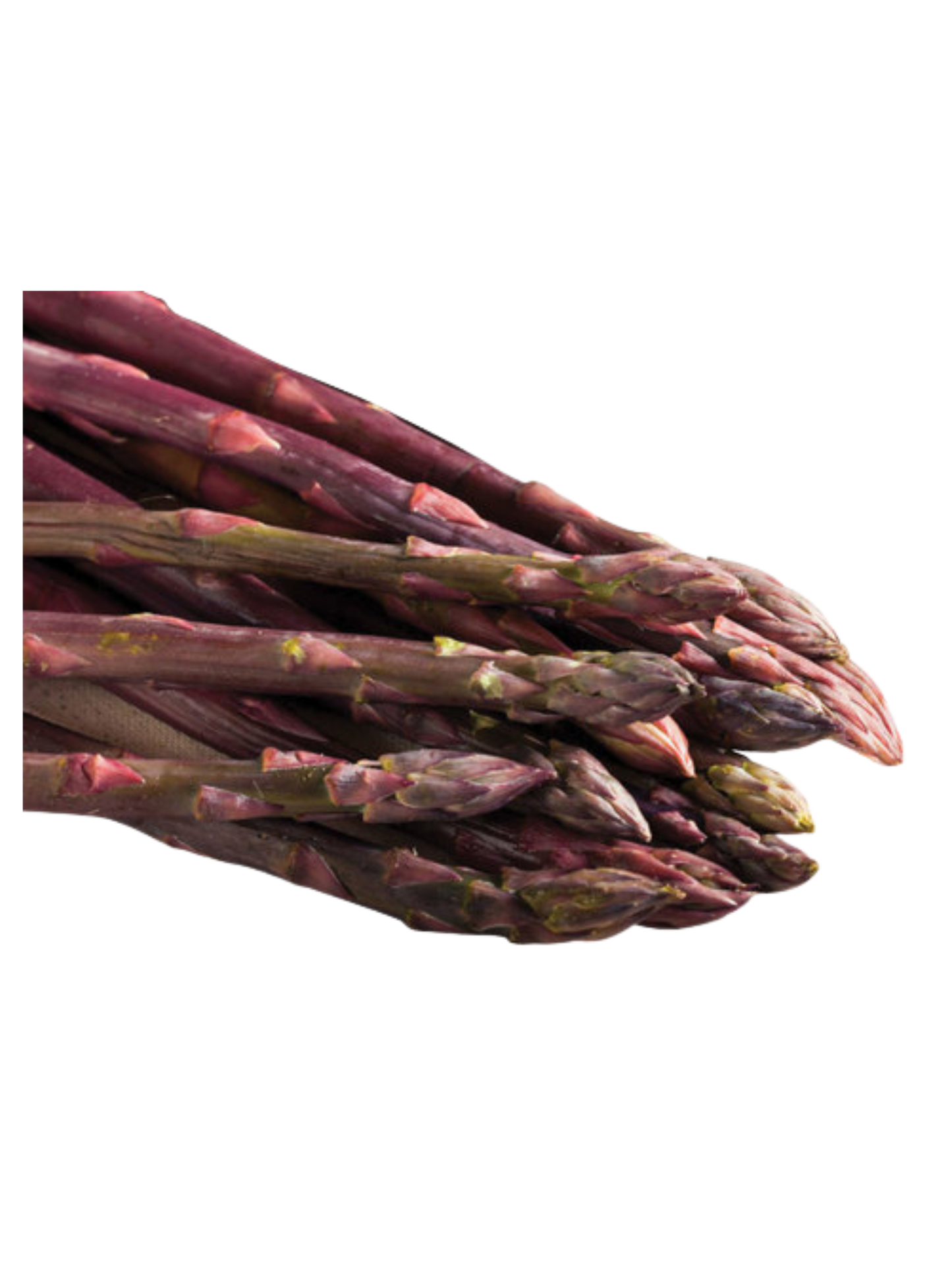 Asparagus_-_Pacific_Purple