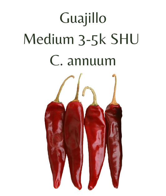 Guajillo Chilli Seeds (10 seeds) - Rasmussen Gardens