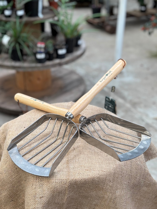Burgon & Ball Mid Handled Potato Harvesting Scoop