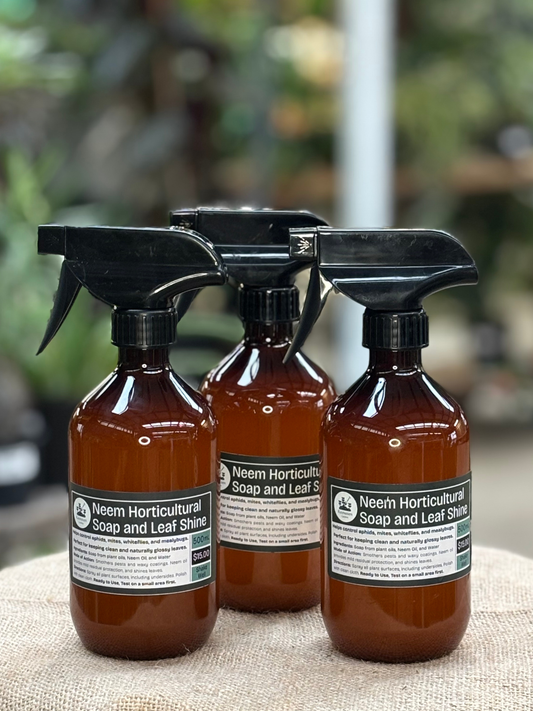 Neem_Horticultural_Soap_and_Leaf_Shine_500ml_Ready_To_Use