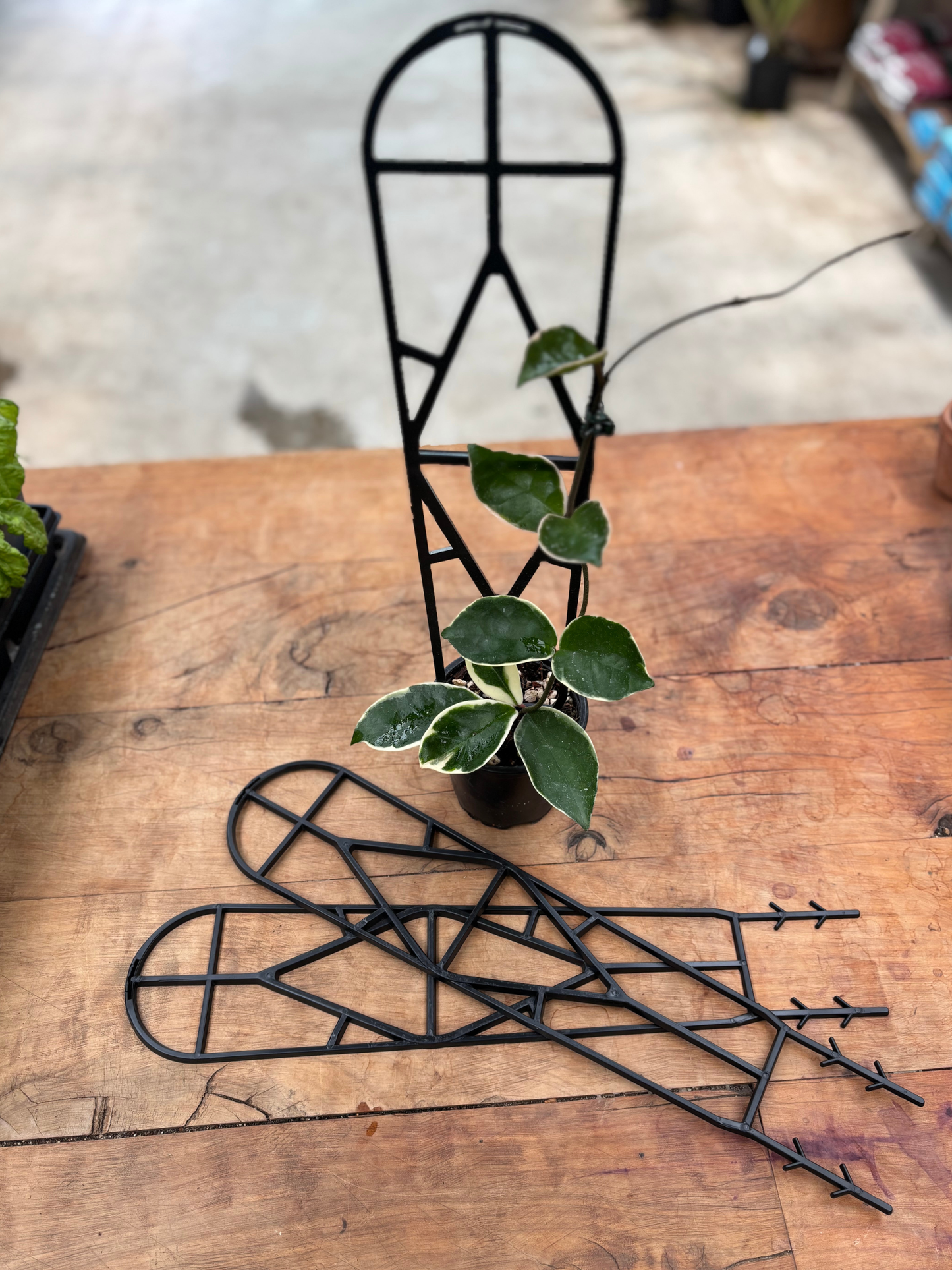 Plant_Support_40cm