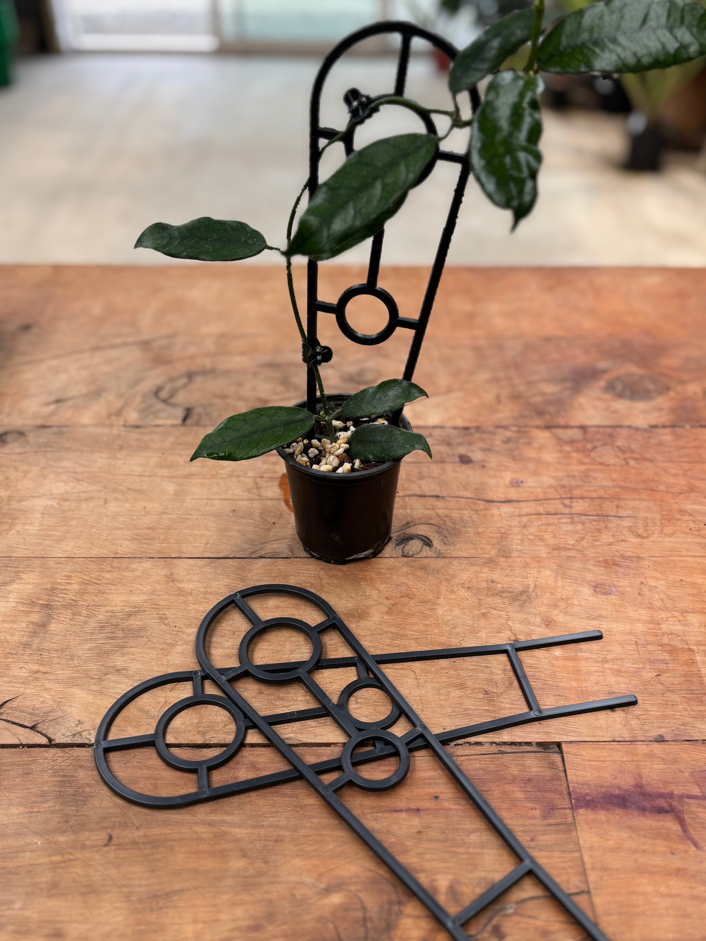 Plant_Support_30cm