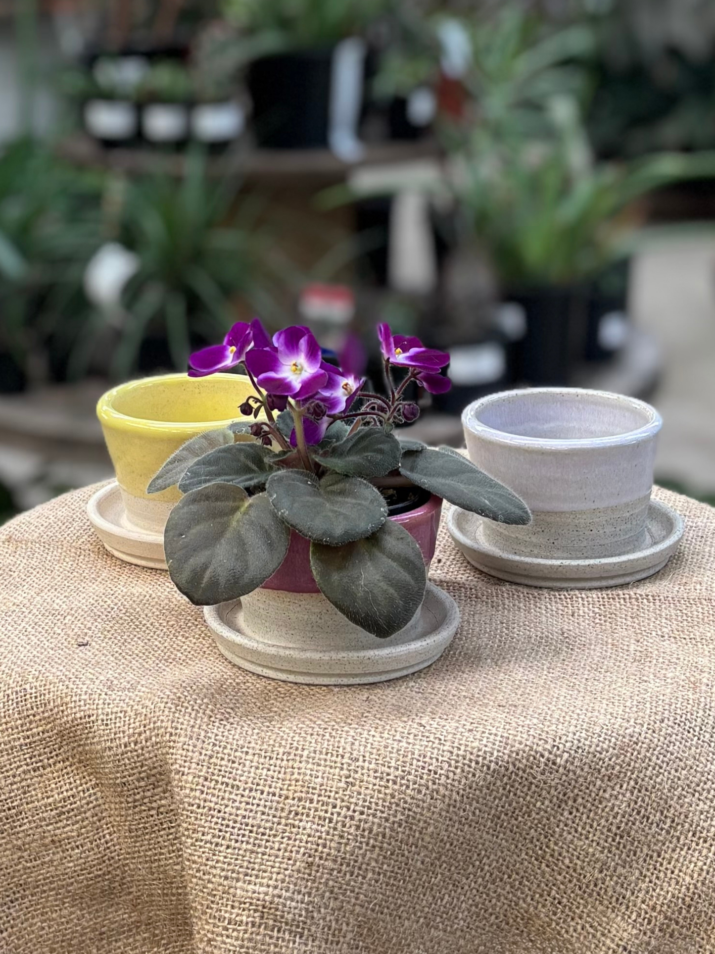 Mini Planters