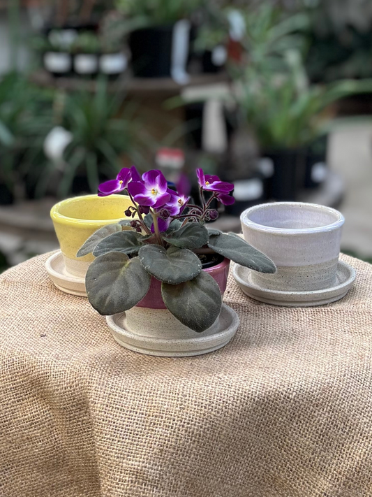 Mini Planters