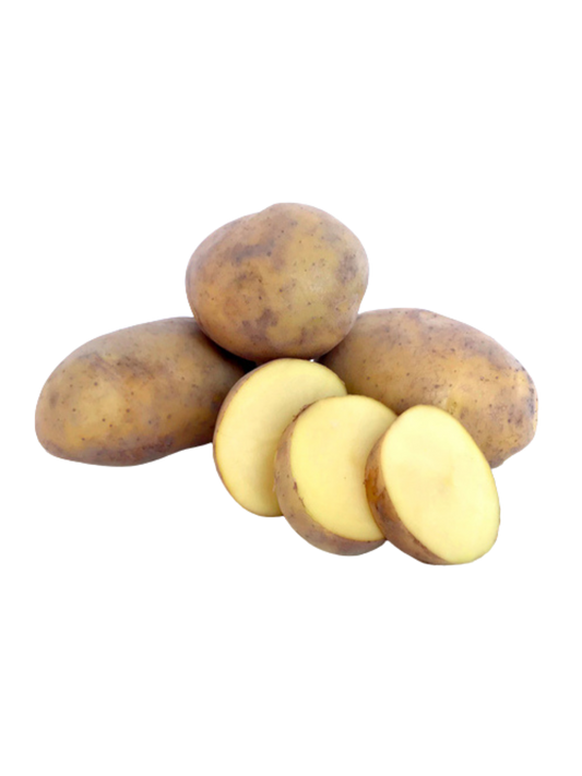 Potato – Agria