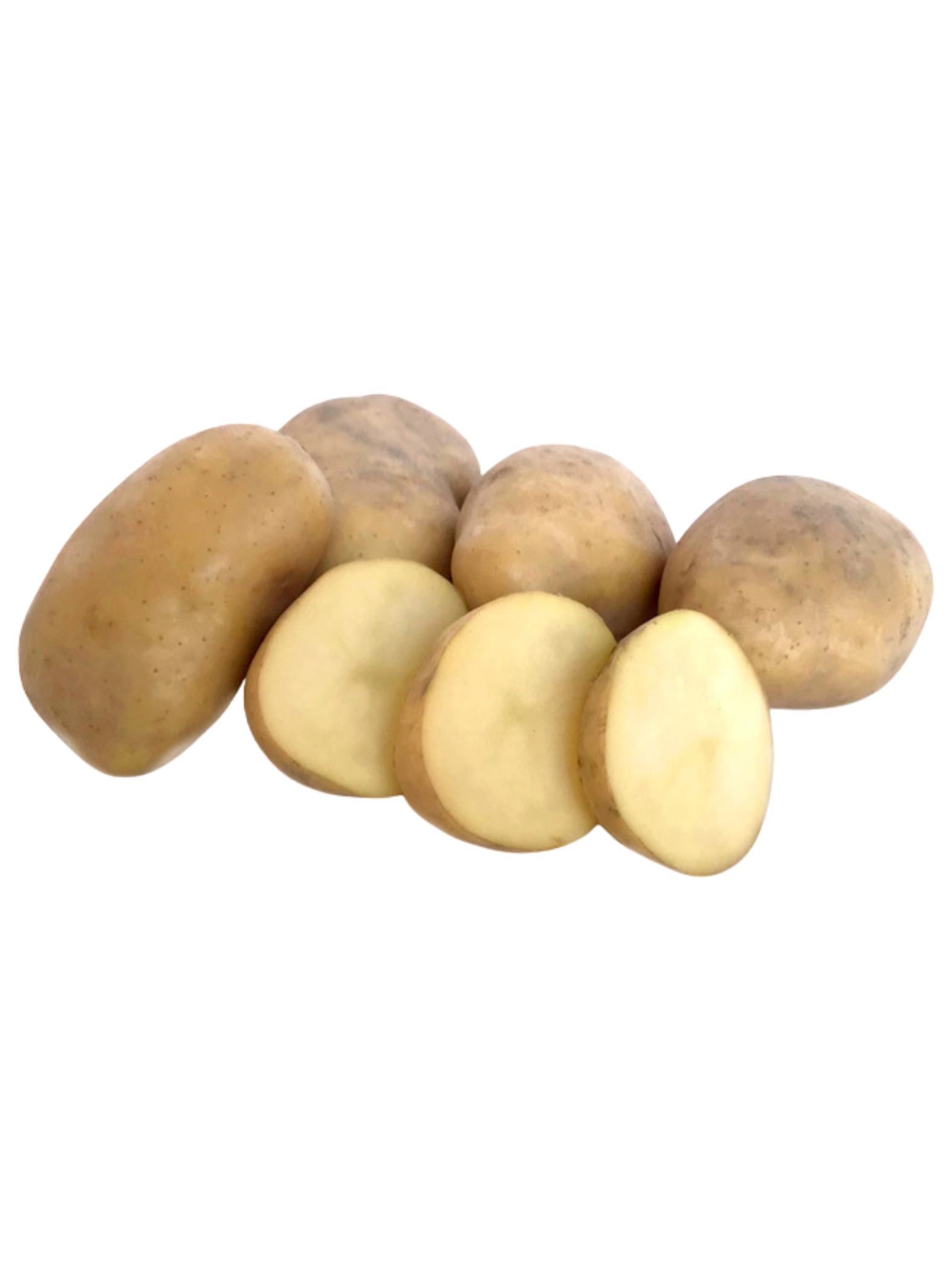 Potato__Jersey_Bennes