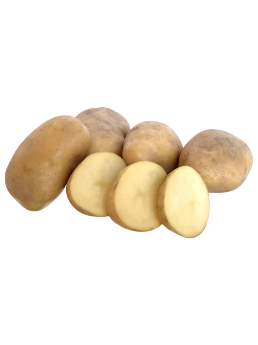 Potato__Jersey_Bennes