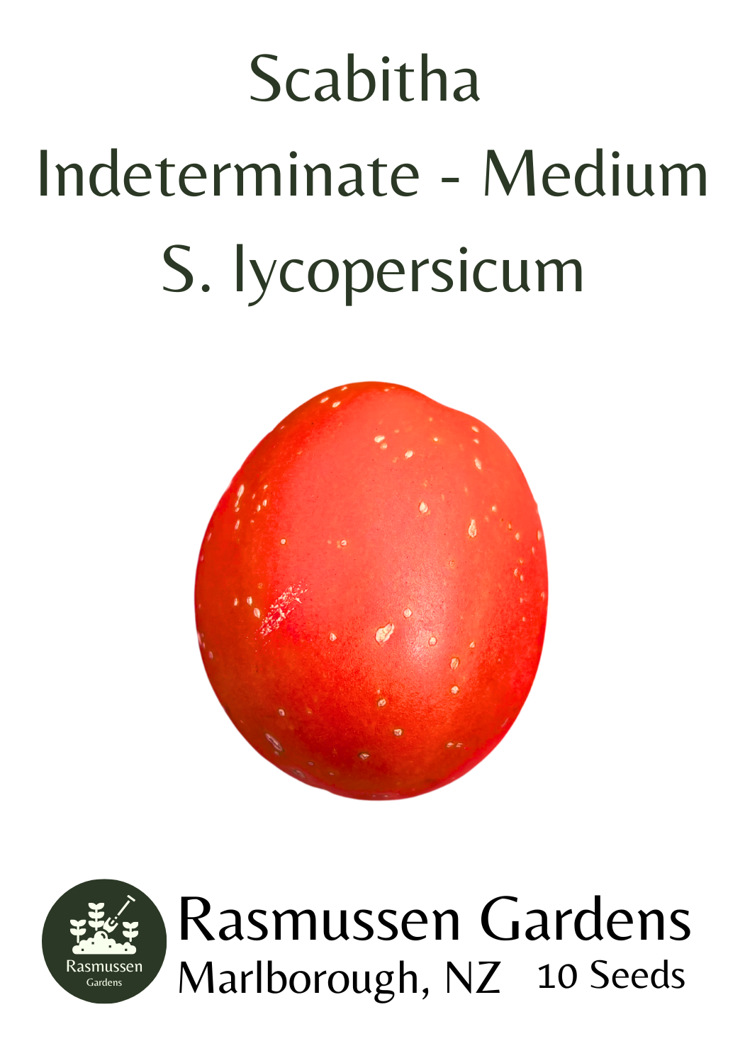 Scabitha_Tomato_Plant_in_4_pot