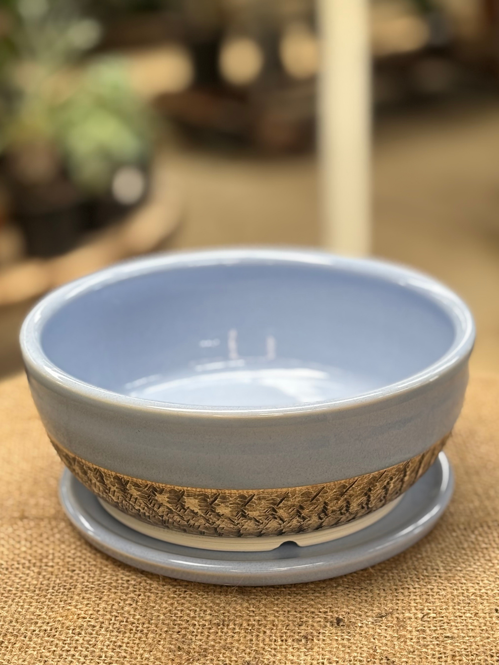 Shallow Chattered Planter with Saucer – Rasmussen Gardens