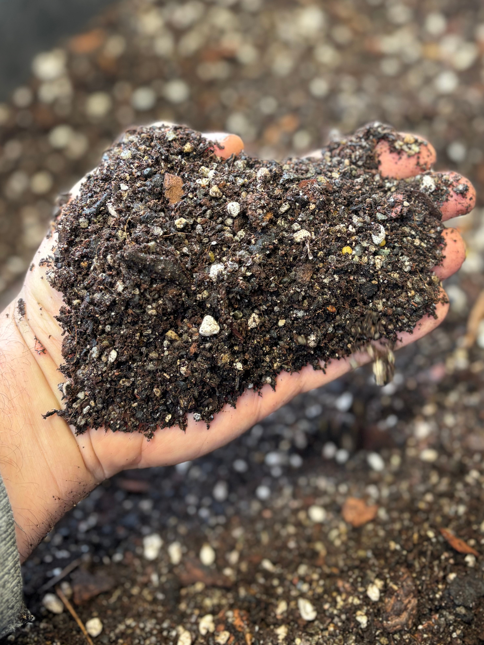 succulent perlite potting soil Succulent & Cacti Potting Mix – 10 liters – Rasmussen Gardens
